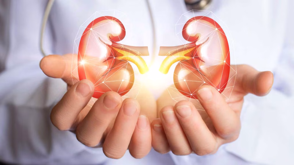 Essential foods for kidney health: What to eat and avoid