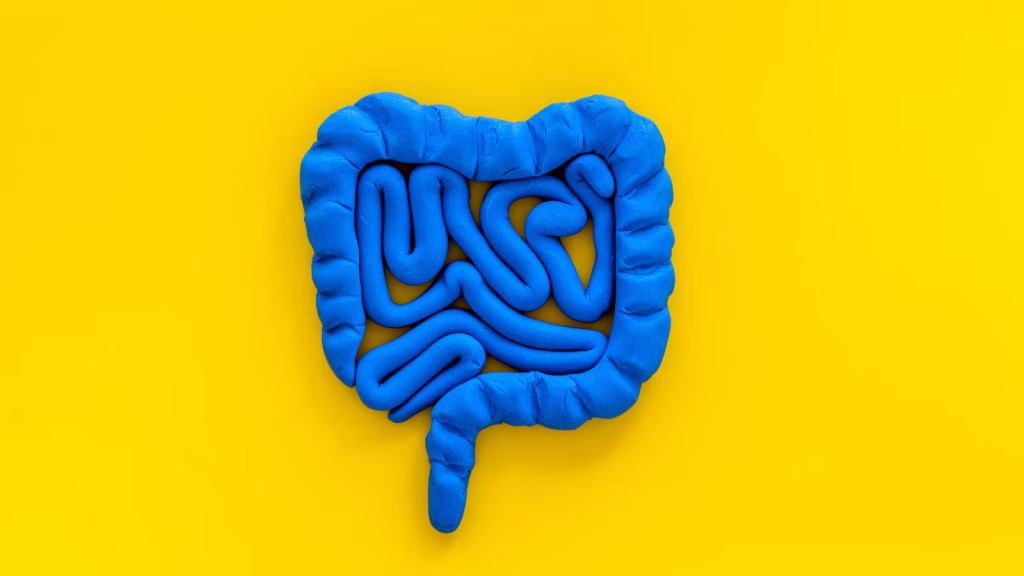 Gut health: How your microbiome influences hormones