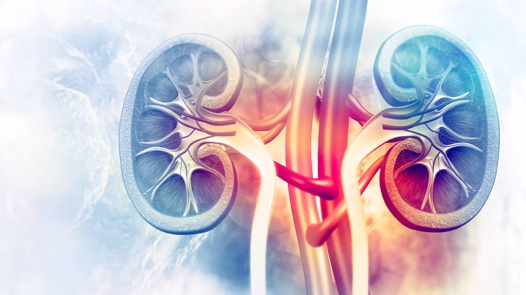 Kidney cancer patients nutrition: Protein, potassium, phosphorus
