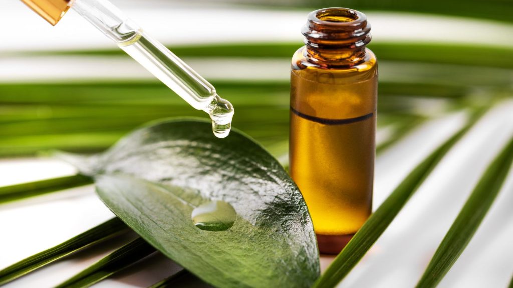 Tea tree oil for dandruff: Top 8 options for healthy scalp