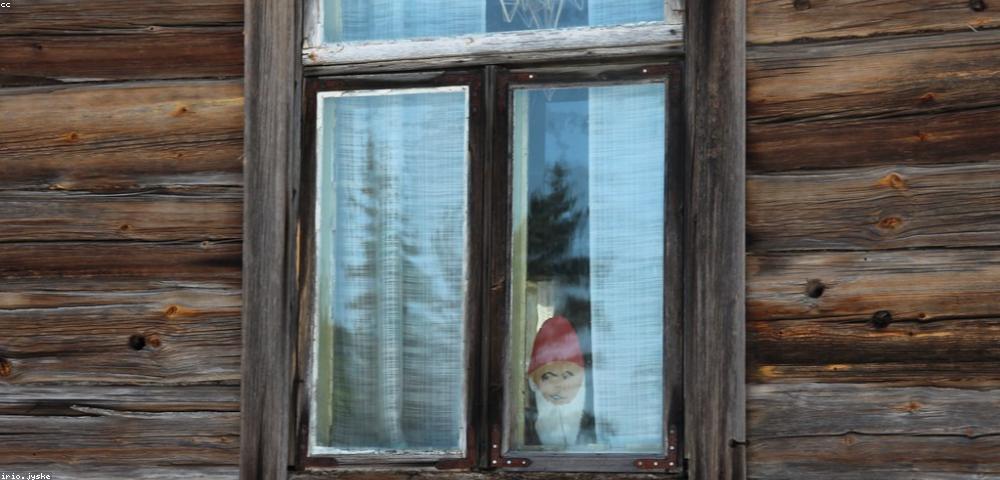 Top 8 anti-hair fall shampoos for healthier, stronger hair