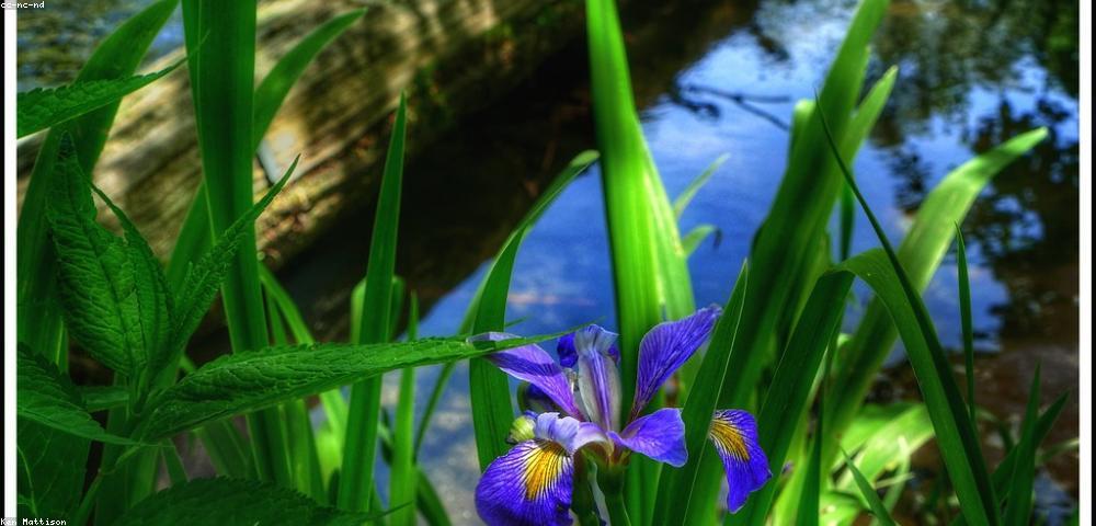 Your skin breakouts may be coming from your gut, stress and lack of sleep, warns dermat