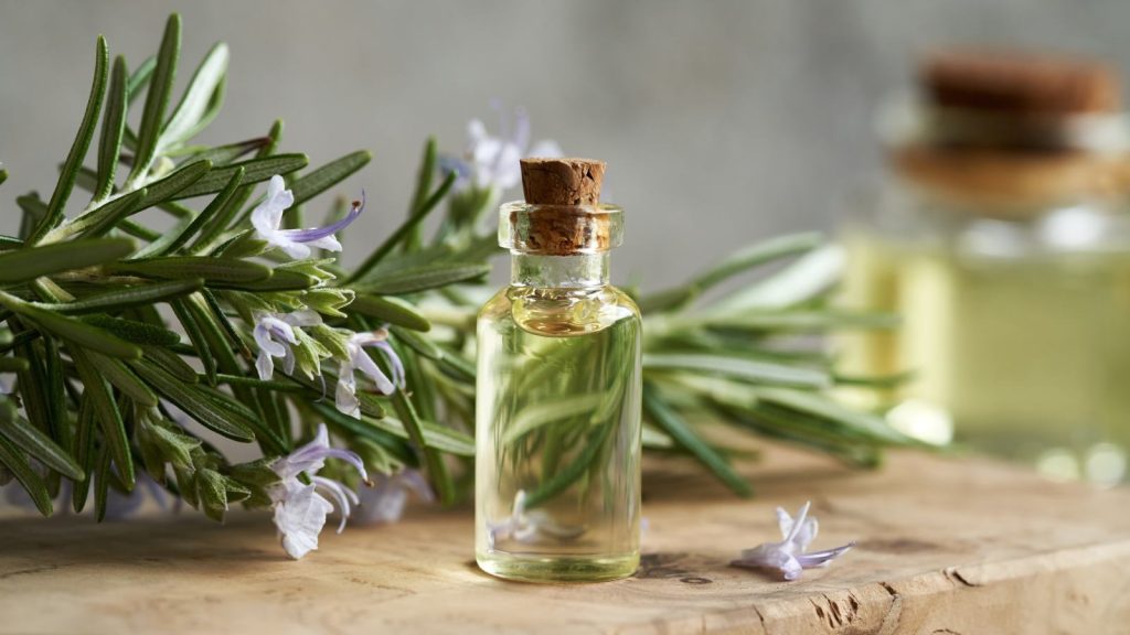 rosemary-oil-for-hair-growth-top-6-picks-to-reduce-hair-fall | HealthShots